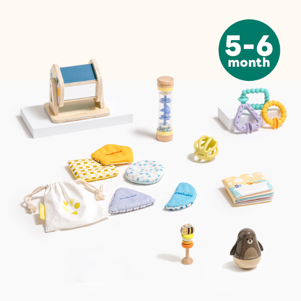 ピカビー Everyday（5〜6ヶ月）